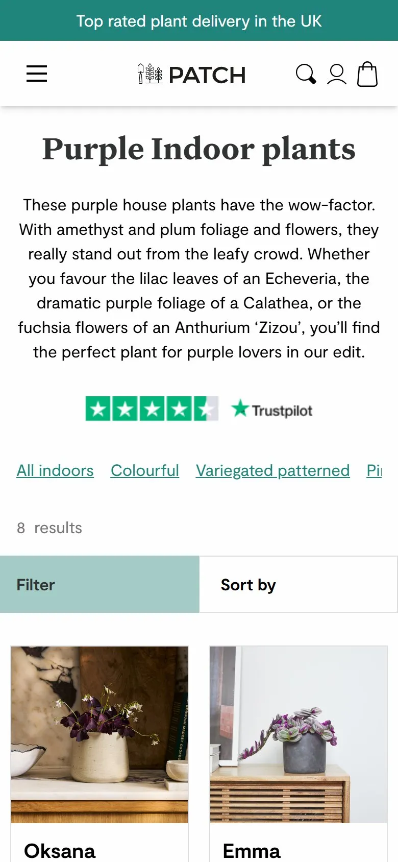 Patch collection page, mobile screenshot: Collections named after the way people search, not the way plants are classified