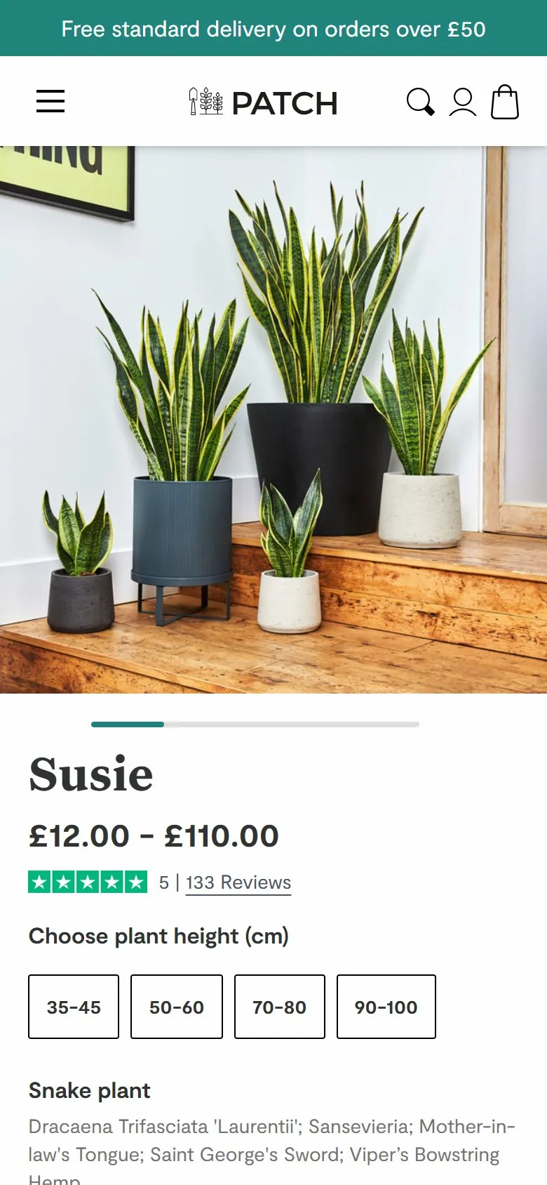 Patch product page, mobile screenshot: A product page that answers "can I keep it alive?" before you scroll